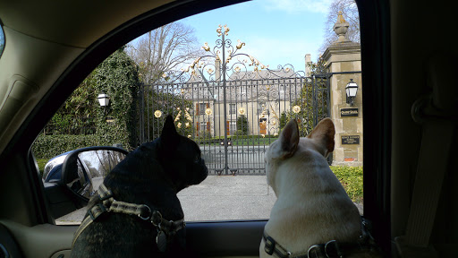 This mansion, the Champ Soleil, was home to Lucy Drexel Dahlgren in the early 20th century.  Look at the golden details on the gate, Francesca!  How lovely!