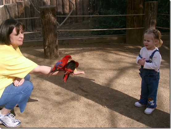Brandon and 082