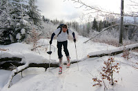 IMG_7459.jpg Photo
