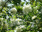 P1090080.JPG