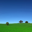 93_8878_4262392e728696f.jpg