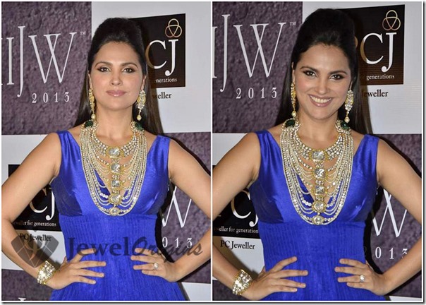 IIJW_2013 (3)