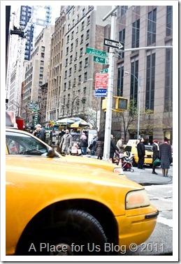 IMG_0873_2732