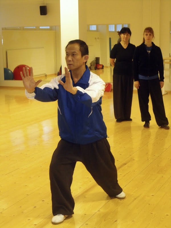 Shifu Zhang Fang taijileirillä Järvenpäässä syksyllä 2011