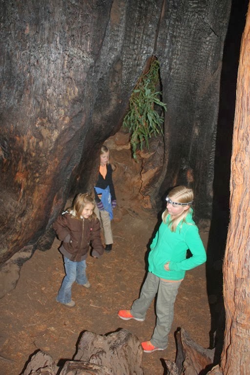 [CA%2520trip%2520with%2520Marlee%2520329%255B5%255D.jpg]