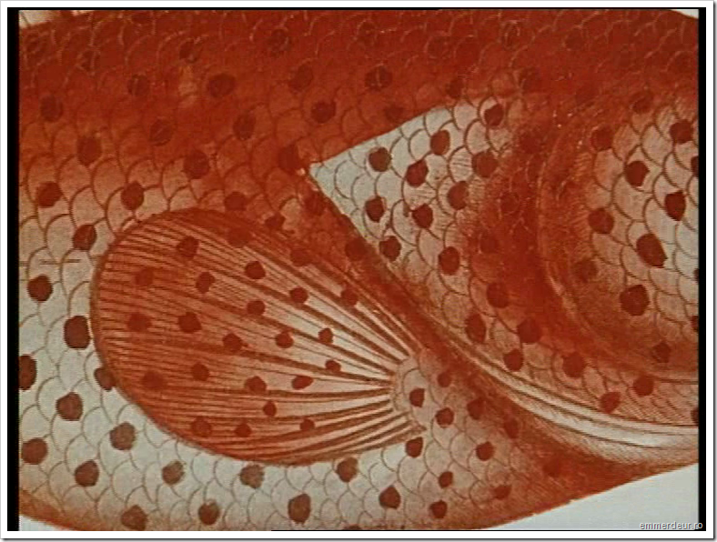 jan svankmajer historia naturae emmerdeur_192 jan svankmajer historia naturae emmerdeur_192