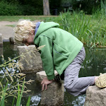 Bevers_Splinter_2011_026.jpg