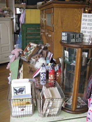 IMG_2729 IMG_2729