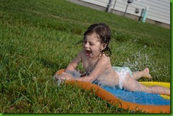 DSC_0042 DSC_0042