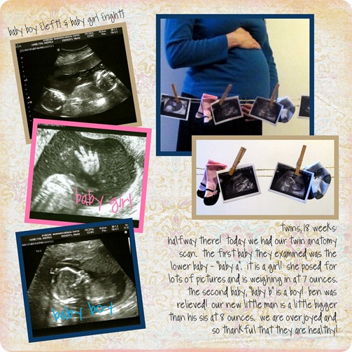 Twins 18 weeks jpg