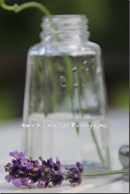 Home & Lifestyle IMG_1329