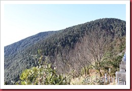 IMG_4859 IMG_4859