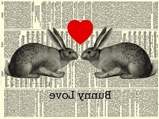 CONFESSIONS OF A PLATE ADDICT Bunny Love Pillow Transfer CONFESSIONS OF A PLATE ADDICT Bunny Love Pillow Transfer