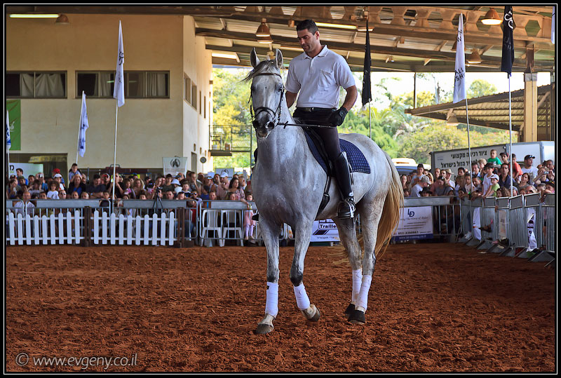 il/Фото: Stallion Show 2011 (20110416 stllion show 042 2121)