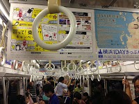 IMG_4282.JPG