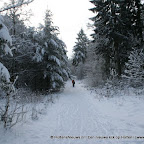 3-1-2010-041.jpg