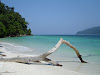  Koh Lipe Resimleri Fotoğrafları