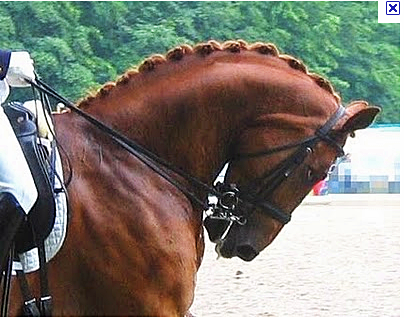 [rollkurhorse%255B5%255D.png]