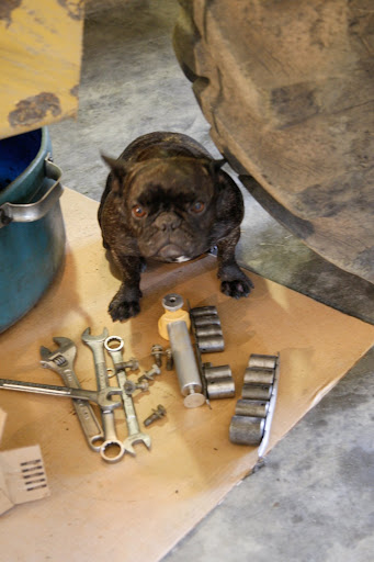 Steve, do you need a socket or an open-end wrench?
