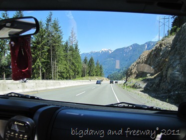 IMG_6117 IMG_6117