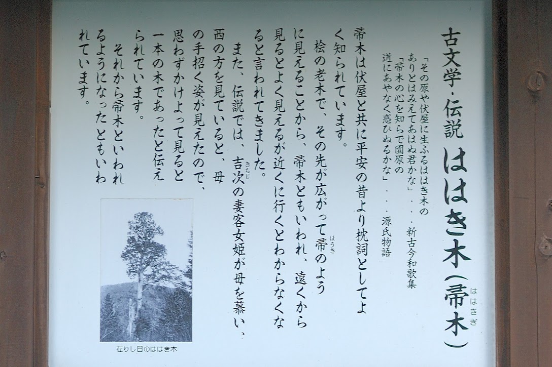ははき木の説明 071243.jpg