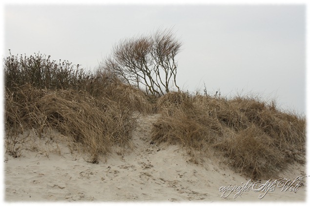 meer5