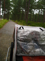 IMG_1698.JPG Photo