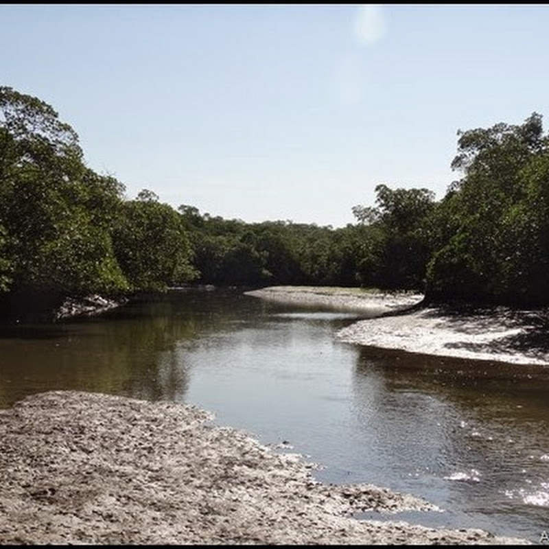Everglades National Park (Indian Key Pass)