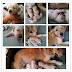 Baby puppies Born July 14, 2012