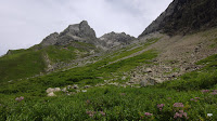 CIMG3445.JPG Photo