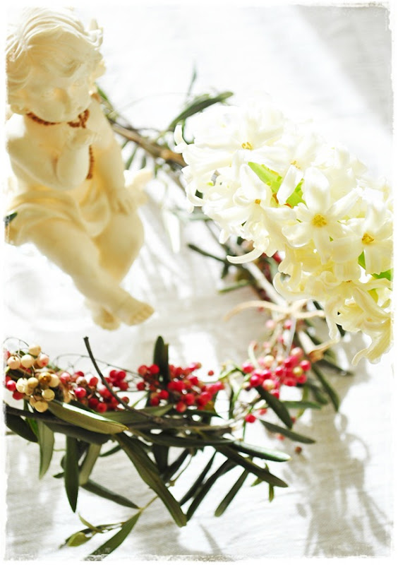 DSC_0110 DSC_0110