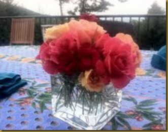marilyns roses