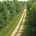 Kis-Balaton / DSCN6357.JPG