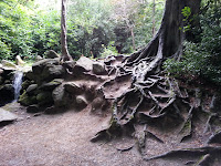 20120921_114536.jpg