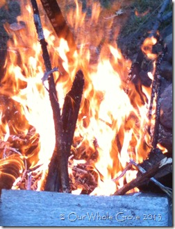 fire 5 fire 5