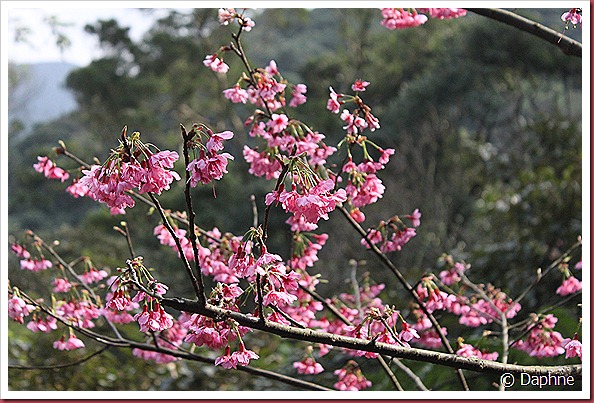IMG_1836 IMG_1836
