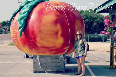 burrisfarmmarket_1