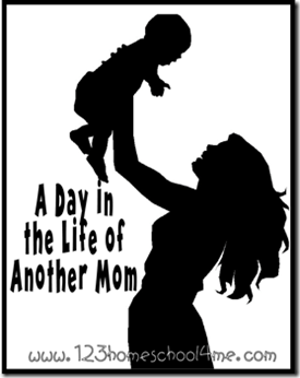day in the Life of another mom series day in the Life of another mom series