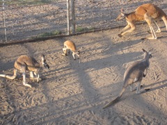 IMG_8644 IMG_8644