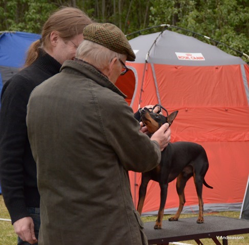 DSC_1136 DSC_1136