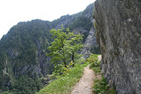 IMG_0116.JPG Photo