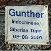 DSCF0429.JPG