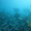  Scuba Dive Buck Island Reef
