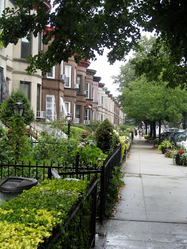 A street scene typical of the Greenest Block in Brooklyn contest. To win, the block needs to show at least 80% community involvement. This one is obviously a strong contender!