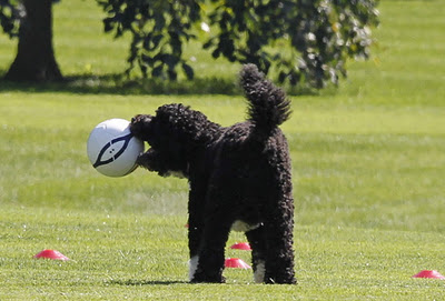 [bo%2520plays%2520soccer%255B1%255D.png]