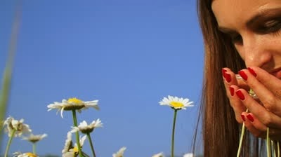[stock-footage-woman-admiring-daisies.jpg]