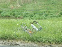 Downed power line between Hedrick and Martinsburg