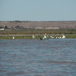 View album