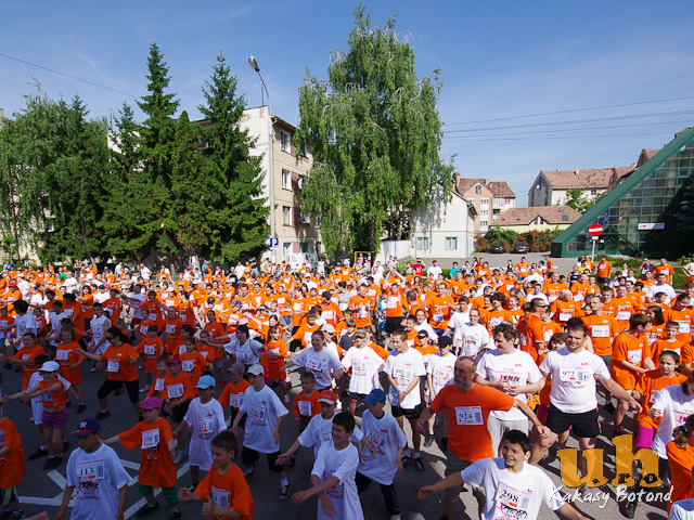 ipse tomegfitas g-21.jpg