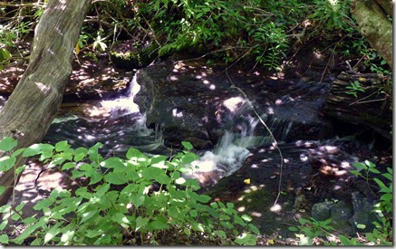 2012-07-24 Blue Ridge Parkway MP 295-254  (53)